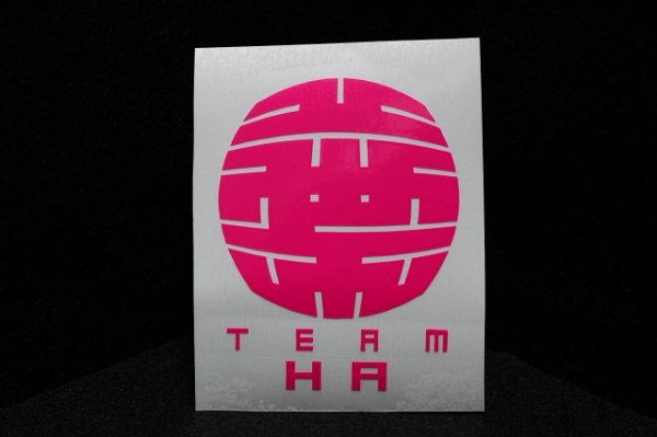 画像1: TEAM HAステッカー　Sサイズ　（ピンク） (1)